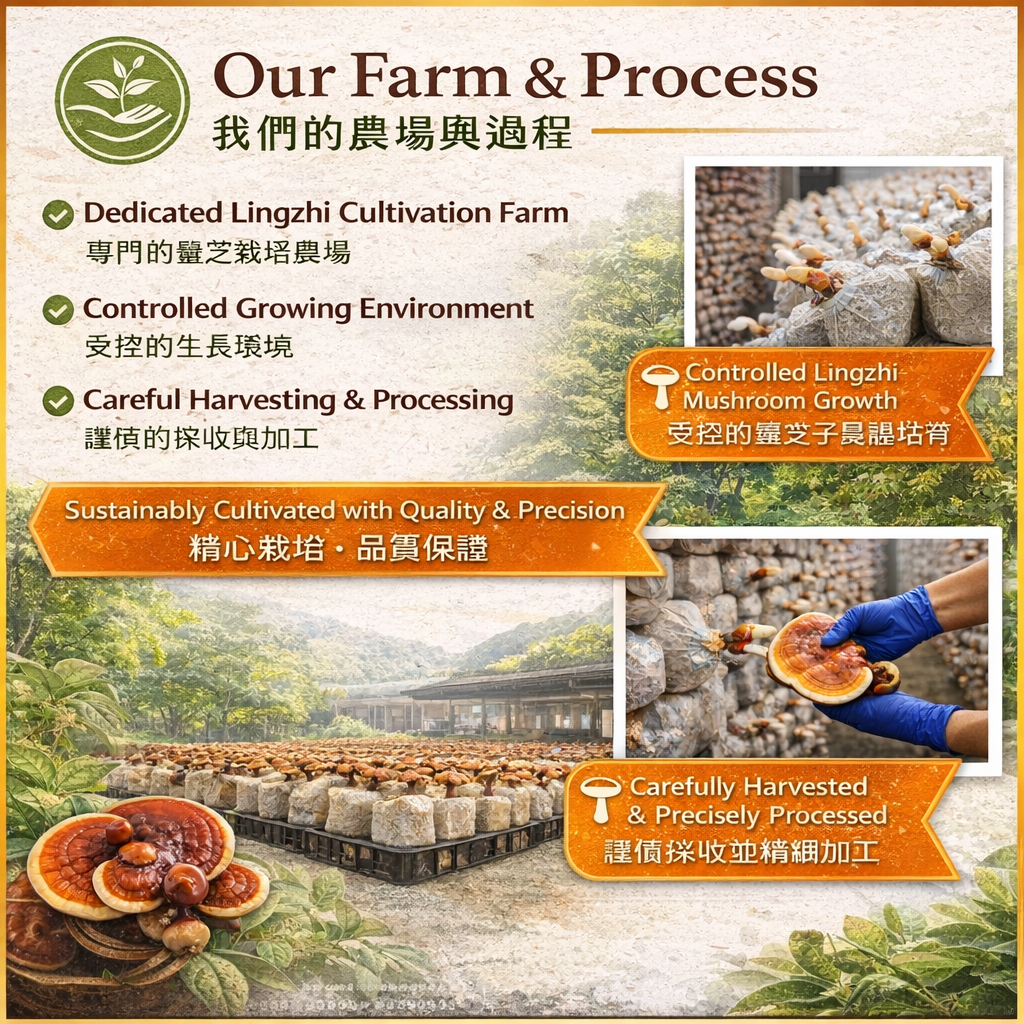 Lingzhi Process